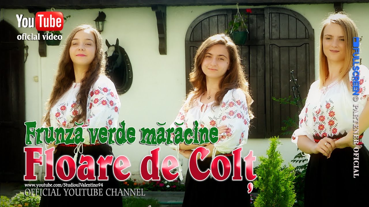 FLOARE de COLT . Frunza verde maracine (oficial video)