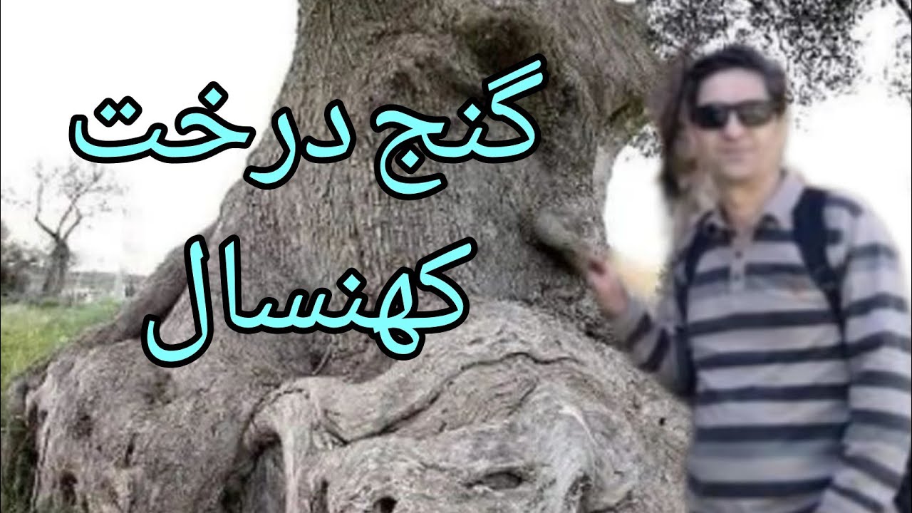 گنج درخت کهنسال گنج درخت سرو گنج درخت موزی گنج درخت آزاد گنج درخت چنار گنج درخت سنجد گنج نارون