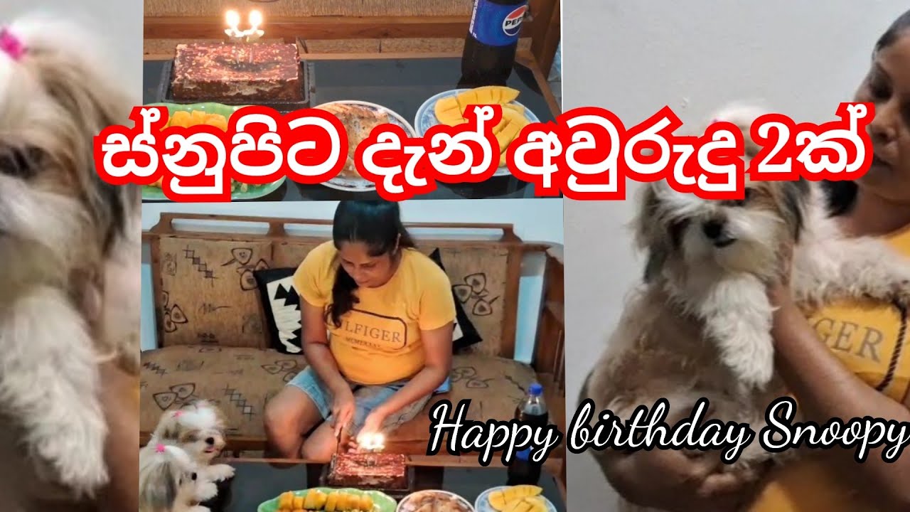 ස්නුපිගේ උපන් දිනේ අපි සැමරැවේ මෙහෙමයි 🐶🎂❤❤❤