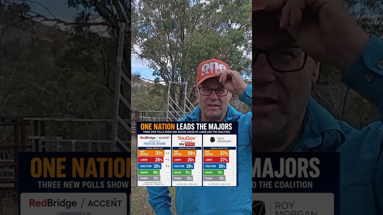 One Nation LEADING Polls! Albo & Angus Crashing 🔥 Just for the Haters