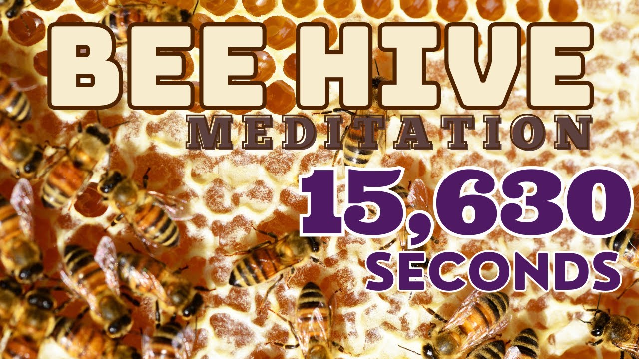 Bee Hive Meditation | 432 Hz | 528 Hz | Moon | Pineal Gland