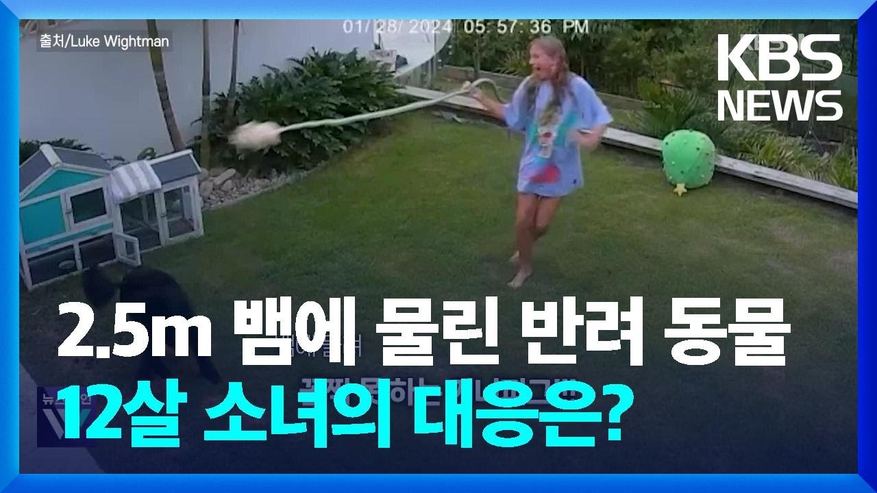반려동물 기니피그가 비단뱀에 물리자, 12살 소녀의 행동!! [오늘의 영상] / KBS  2024.02.06.