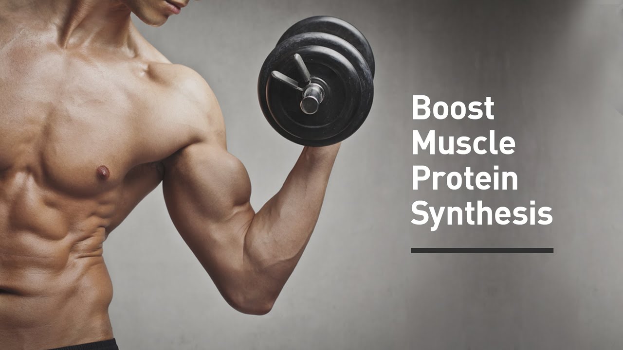 The Definitive (And Practical) Guide to Muscle Protein Synthesis