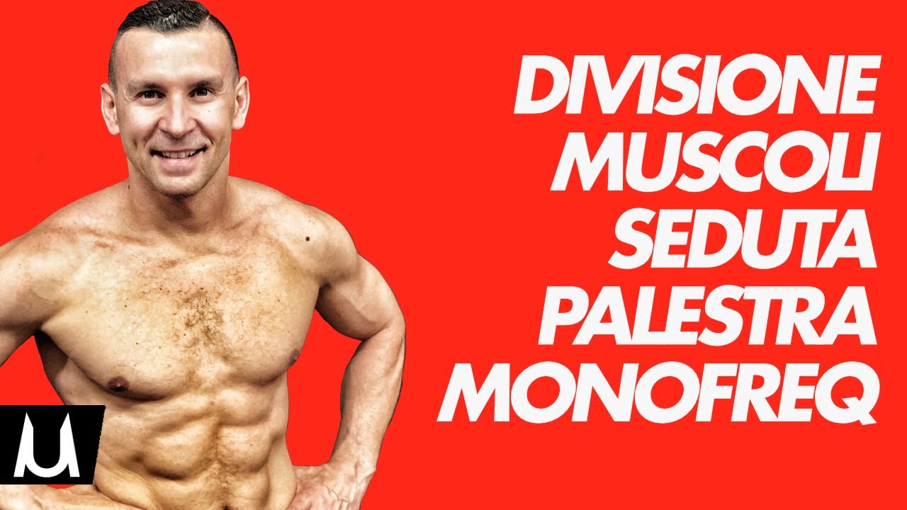 Come dividere i muscoli nelle sedute in palestra - Monofrequenza workout