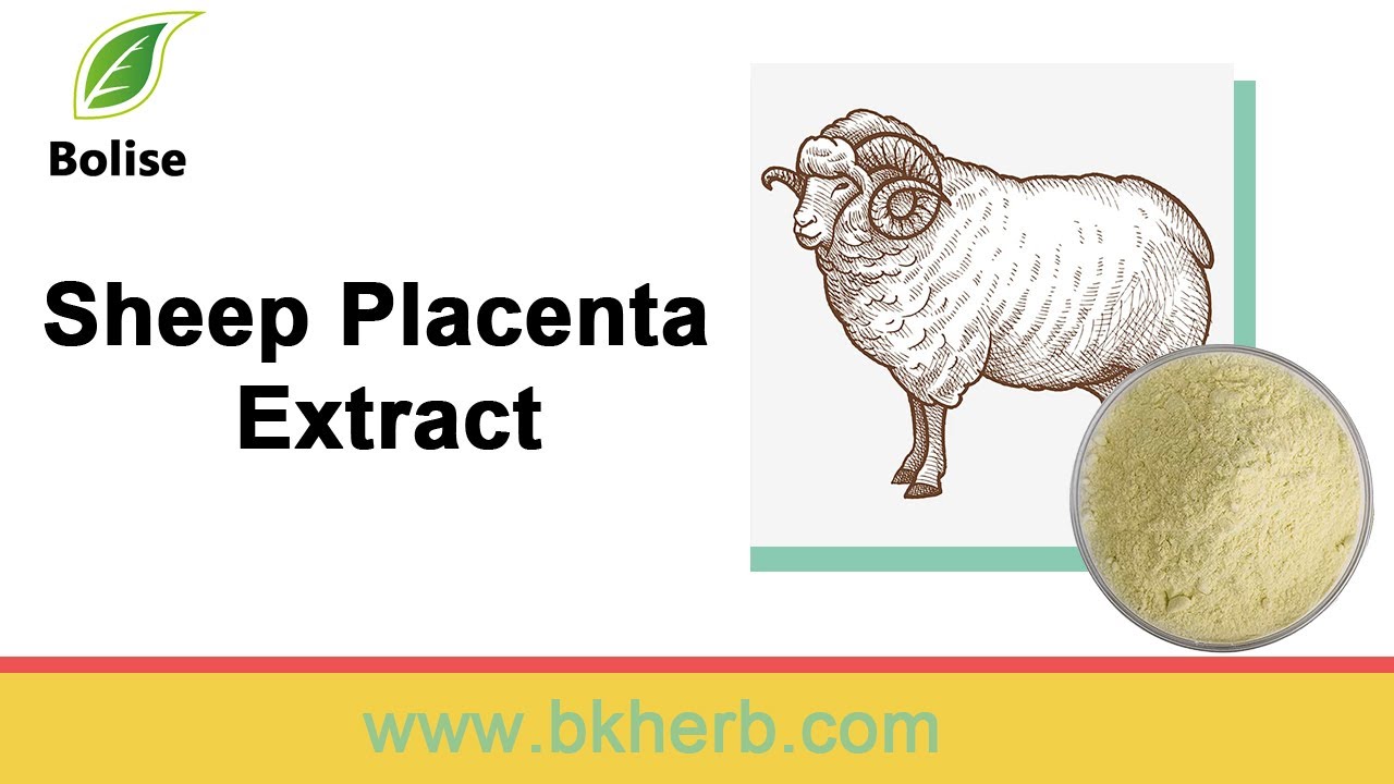 What is Sheep Placenta Extract ?