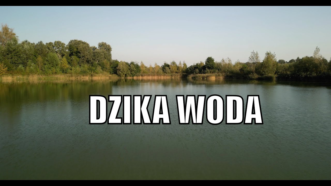 ŁOWISKO DZIKA WODA CZYLI JAK TO WSZYSTKO SIĘ ZACZĘŁO