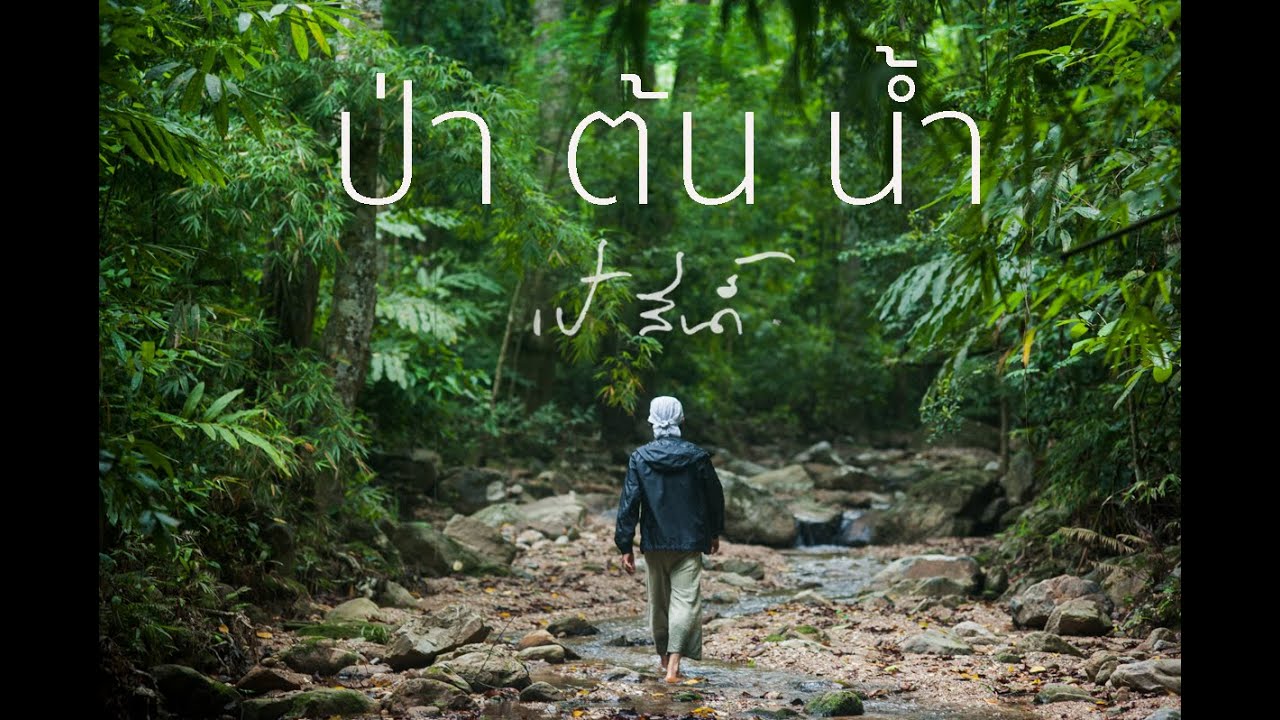 ป่าต้นน้ำ - เป้สีน้ำ