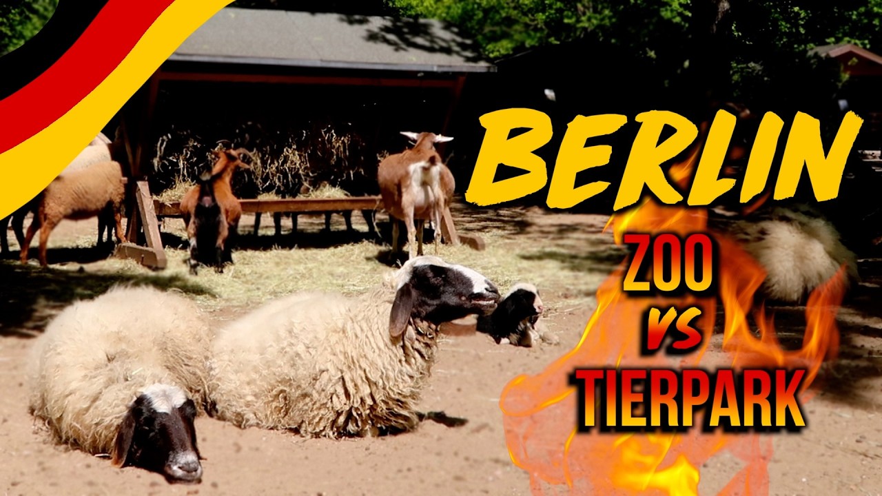 BERLIN🇩🇪 TIERPARK & BERLIN ZOO: Exotic Animals, Petting Zoo, Aquariums (PERFECT FOR SUNDAYS!)