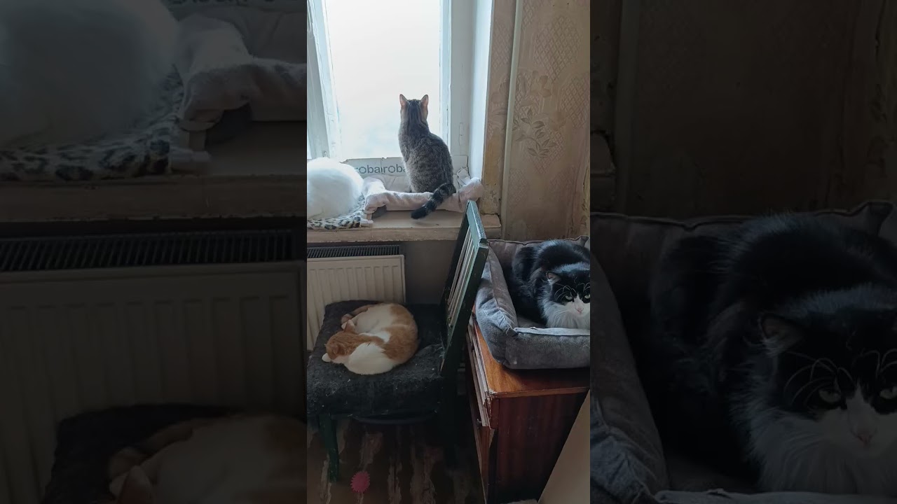 НАШИ ДЕВОЧКИ😻♥