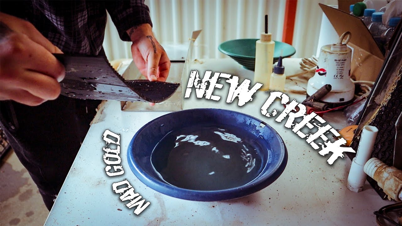 I Found a New Creek Full of Coarse Gold! (And Zoe Said YES 👰)