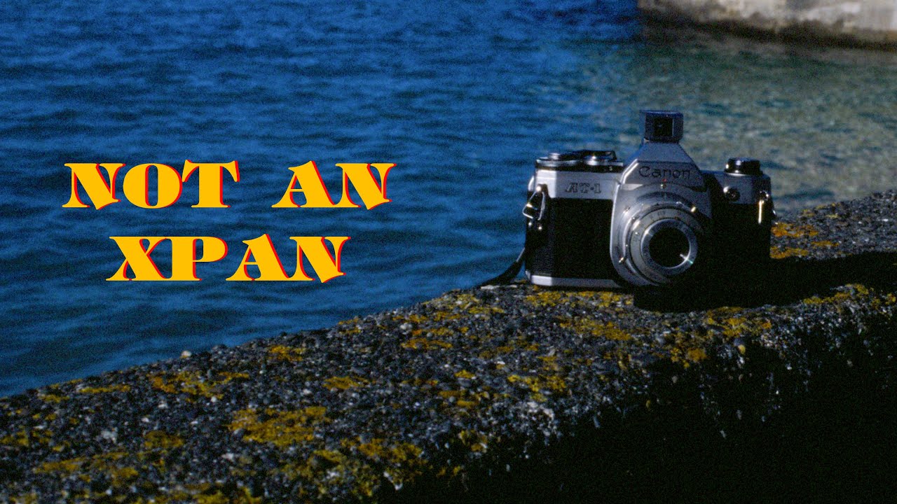I got a true panoramic 35mm camera for less than $100