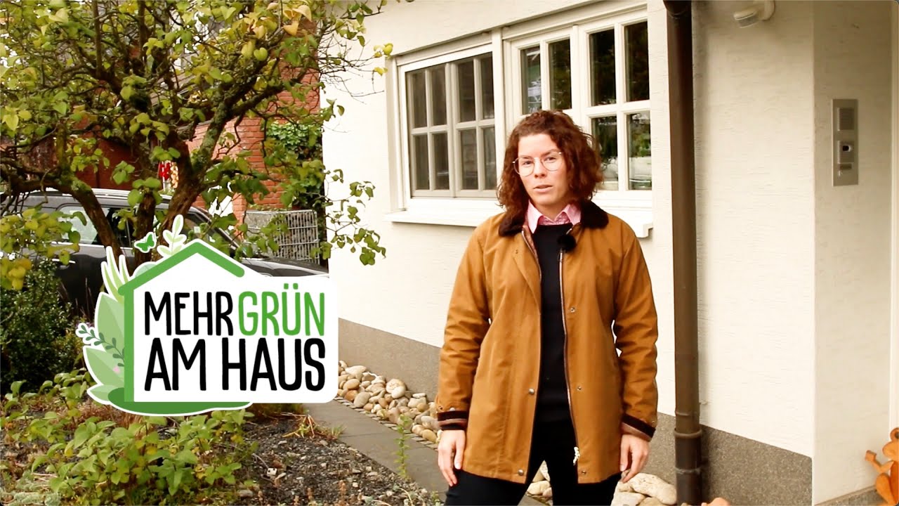 Ein insektenfreundlicher Vorgarten entsteht