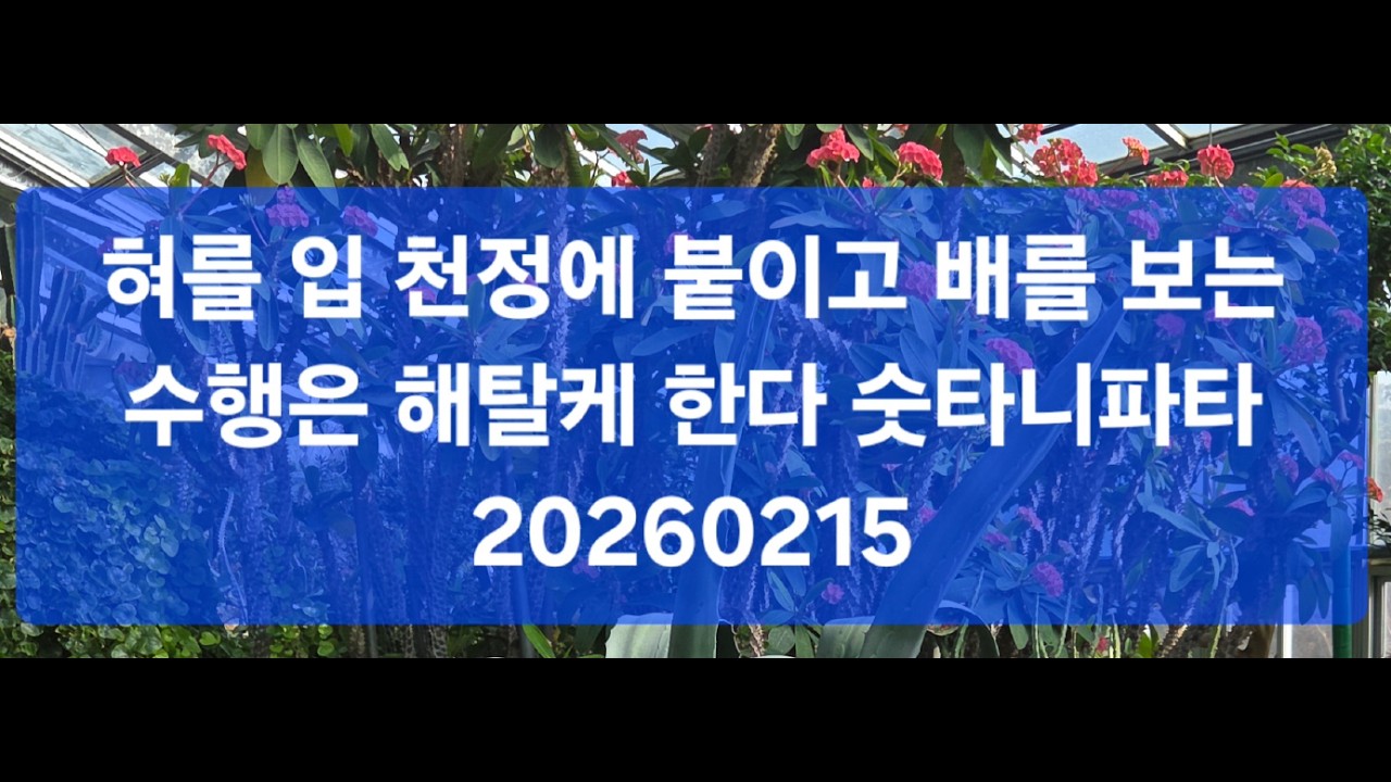 혀를 천정에 붙이고 배를  보는 수행은 해탈케 한다 20260215