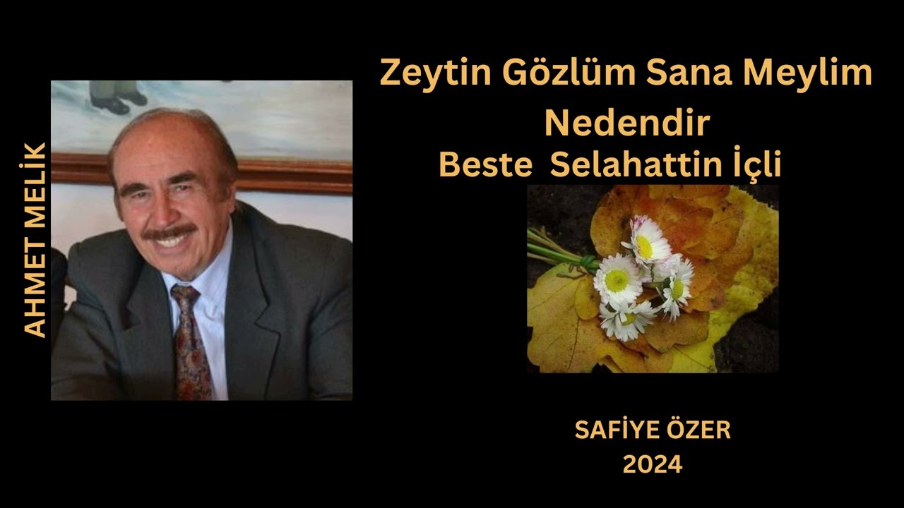 Zeytin gözlüm sana meylim nedendir - Ahmet Melik