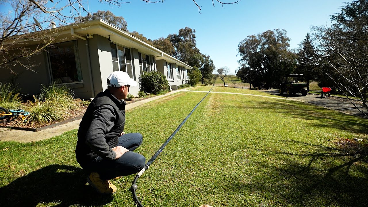 Lawn Renovation Preparation // Scalp, Fert and Weed Clean