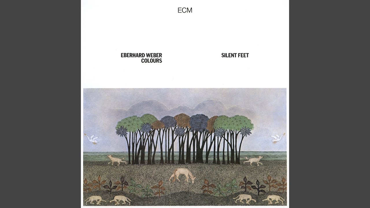 Silent Feet