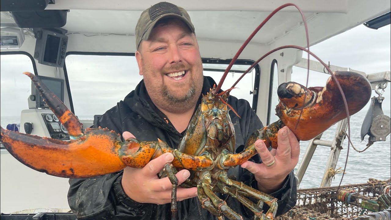 100-Year-Old Lobster! First Catch After Launch! 