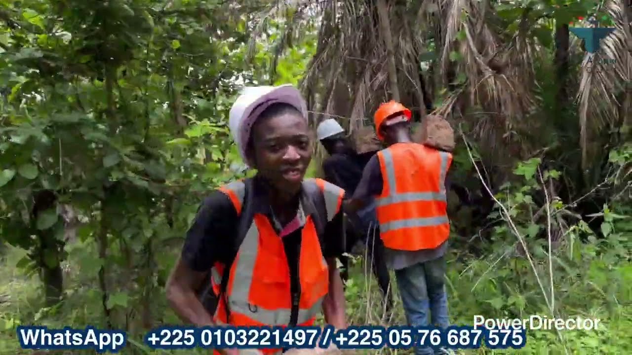 Des terrains à 1 million fcfa disponible à Yamoussoukro 💪💪 Offre très très limitée