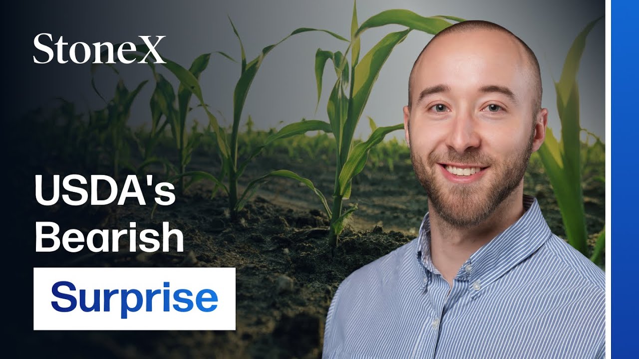 USDA Shocks Corn Market: Breaking Down Monday's Bearish Surprise