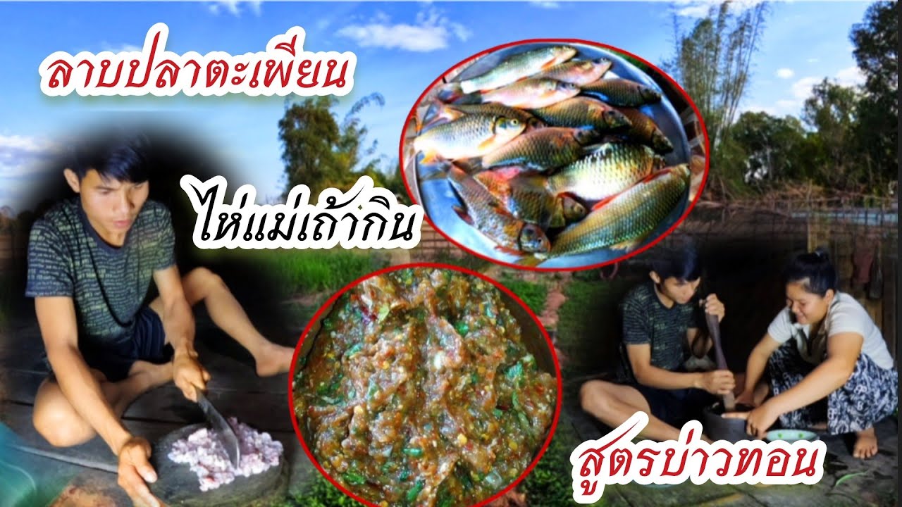 19 กุมภาพันธ์ ค.ศ. 2026บ่าวทอนลาบปลาตะเพียนไห่แม่เฒ้ากิน//ບ່າວທອນລາບປາປາກໄຫ່ແມ່ເຖົ້າກິນ