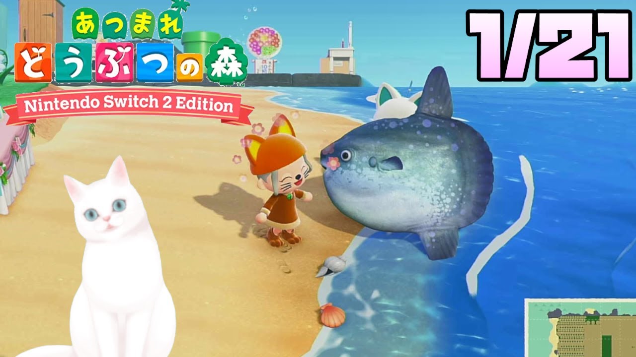 【あつまれどうぶつの森switch2edition】追加コンテンツやっていく　　※時間操作ありネタバレ注意　　#あつまれどうぶつの森　#あつ森　#ゲーム配信　#ゲーム実況　#switch2