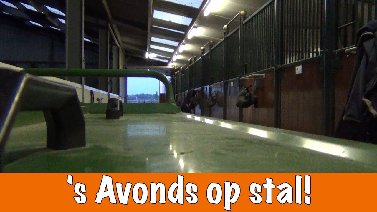 De avond routine van Esra | PaardenpraatTV