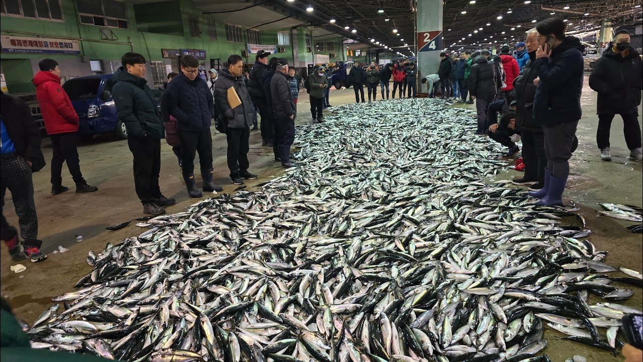 부산 공동어시장 구경갑니다 - 또 부산여행 2
