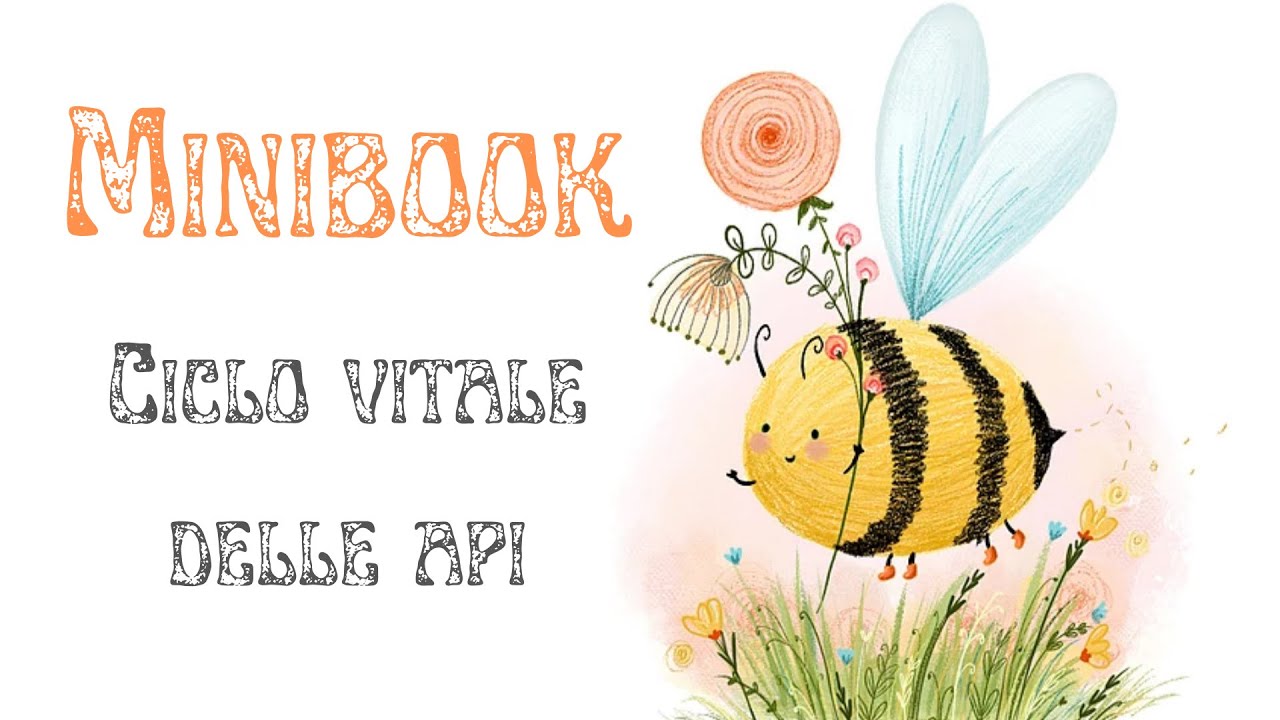 Giornata Mondiale delle api - Minibook - Ciclo vitale delle api