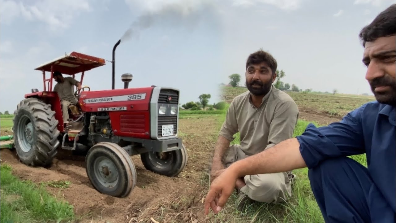 MF 385 performance with Rotavator| Village vlog |Nasir Zulfiqar