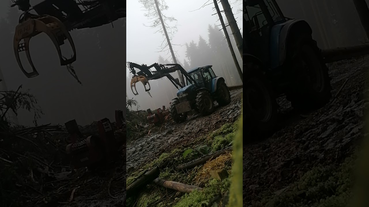 Käferholz Aufarbeitung mit Beha Durchzugentaster