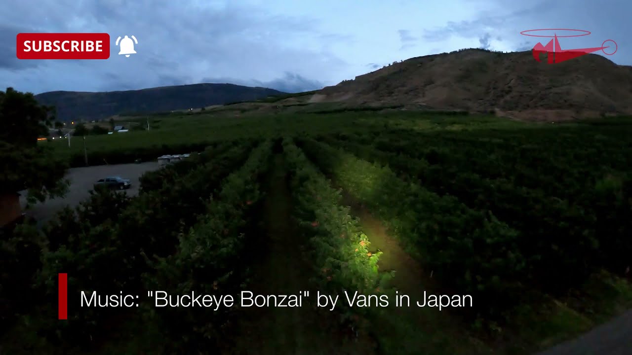 Helicopter Cherry Drying at Hyperspeed (1080 FHD)