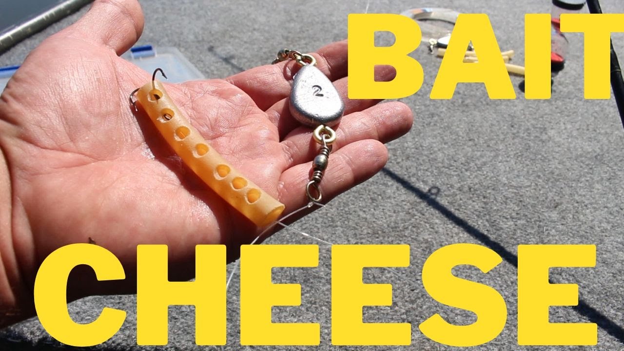 Detailed Catfishing with Bait Cheese