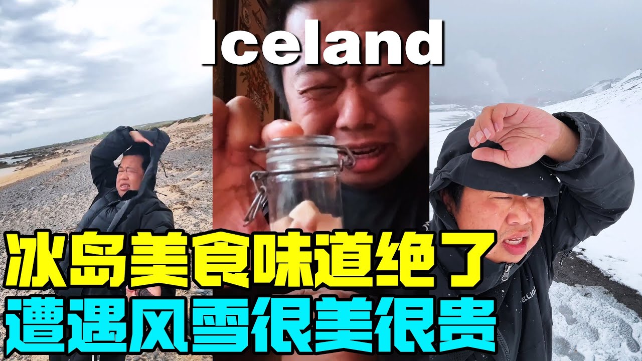 冰岛特色美食味道绝了，打卡景点遭遇风雪暴击，很美也很贵【蓝战非】