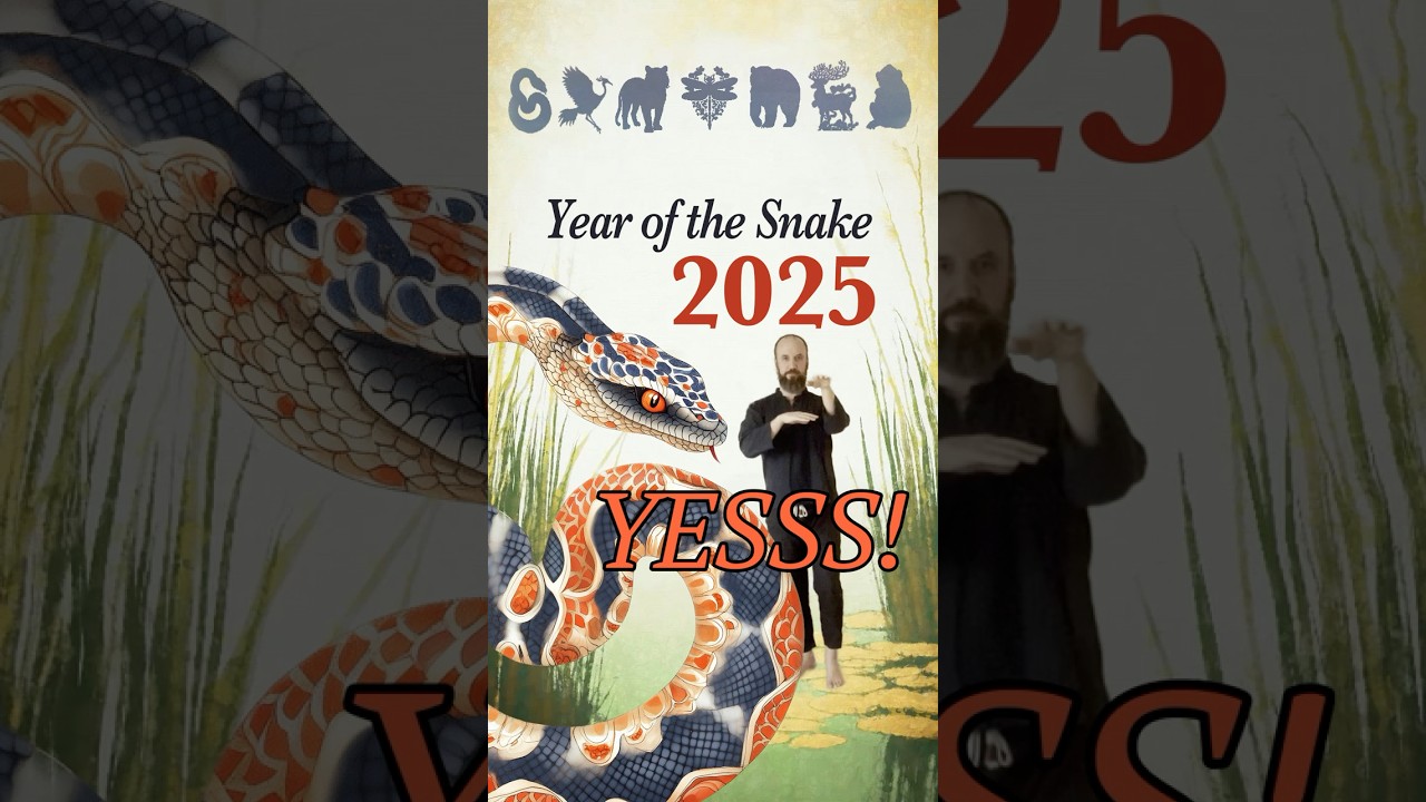 The "Yes" Energy of Snake Animal Frolic