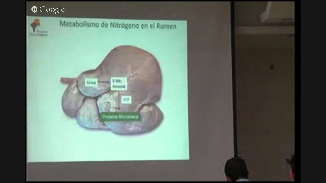 Metabolismo del nitrógeno en el rumen, Trópico Bajo.