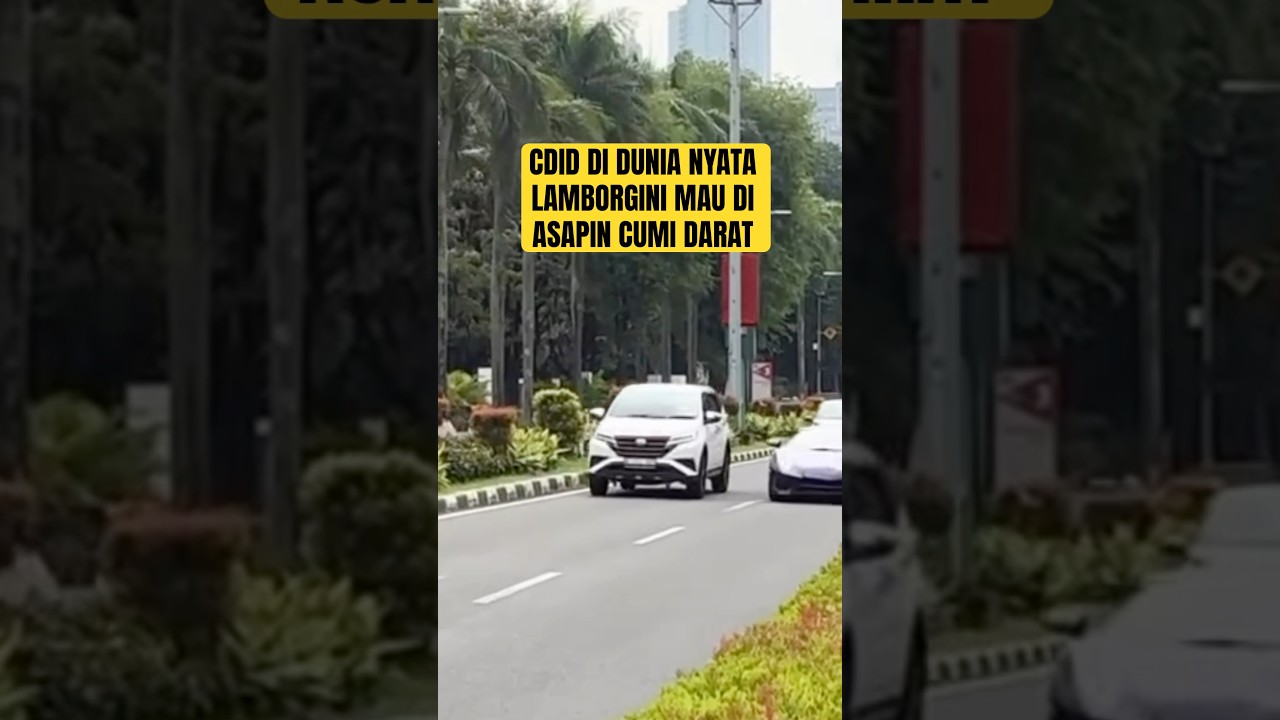 Cumi darat vs lamborgini cdid di dunia nyata #shorts #shortsfund #shortvideo #roblox #cdidroblox