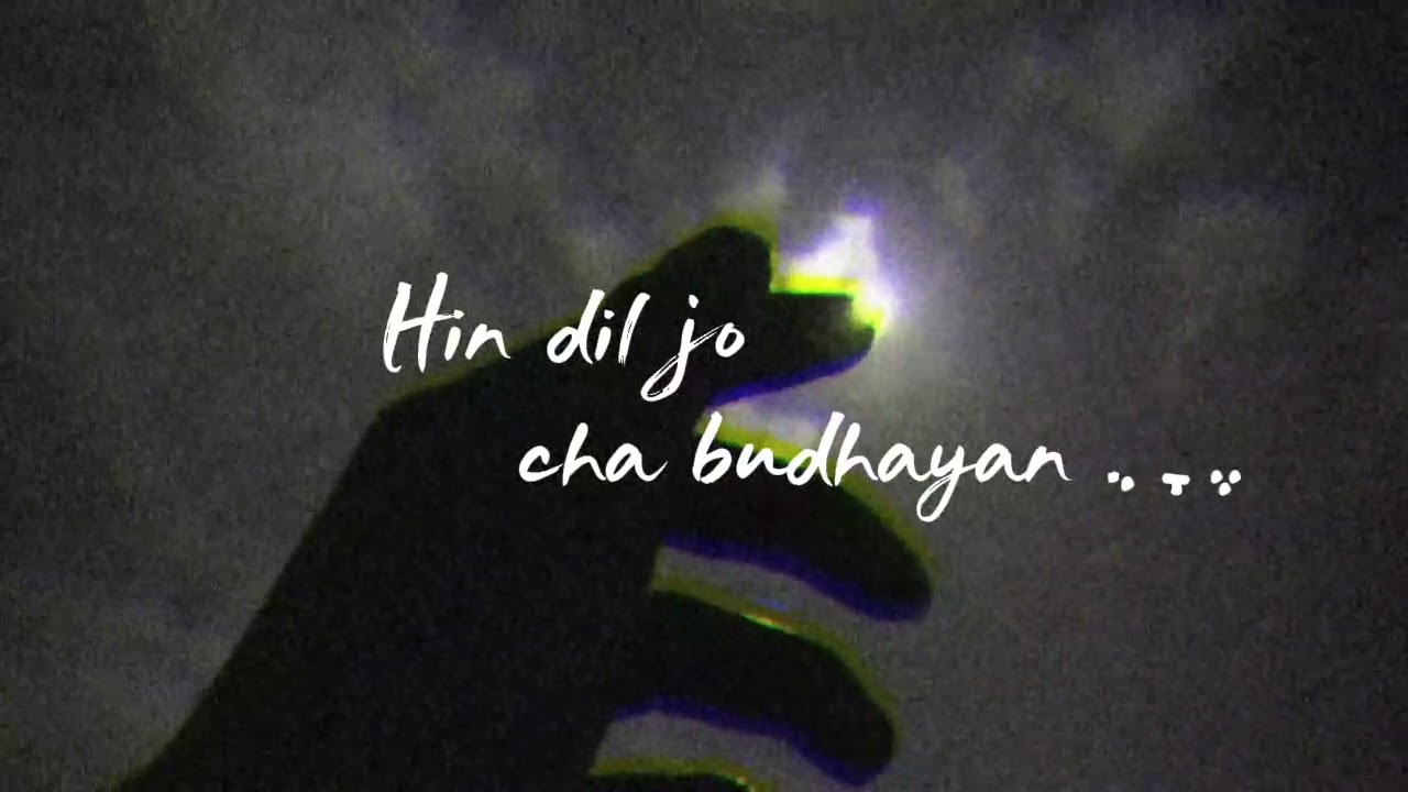 Zama Da Ghare Yara | Hin dil jo cha budhayan.....ت︎  | 𝚃𝚒𝚔𝚝𝚘𝚔 𝚟𝚎𝚛𝚜𝚒𝚘𝚗 | Music World.♫︎シ︎