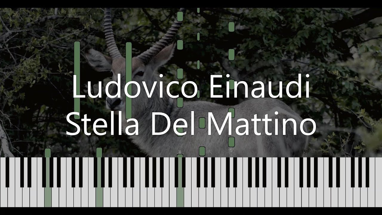 Ludovico Einaudi - Stella Del Mattino