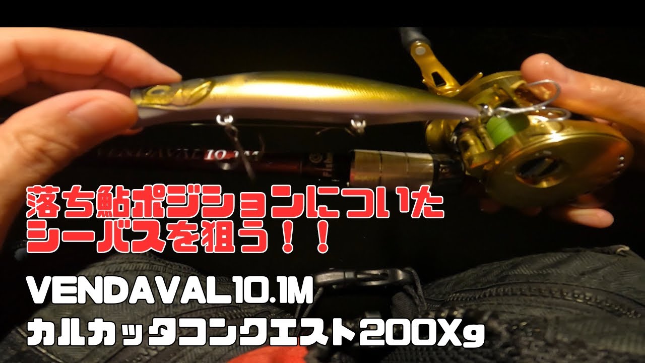 落ち鮎ポジションについてるシーバスを狙う！