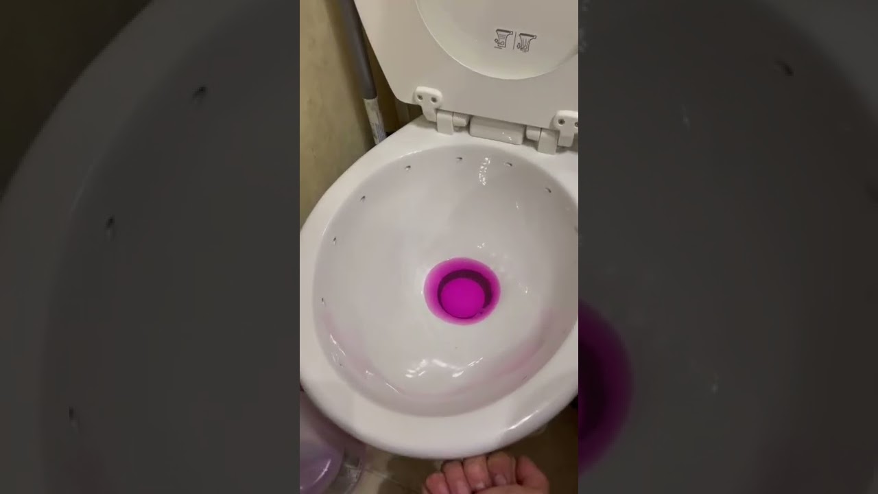 Dometic 310 Toilet Upgrade!