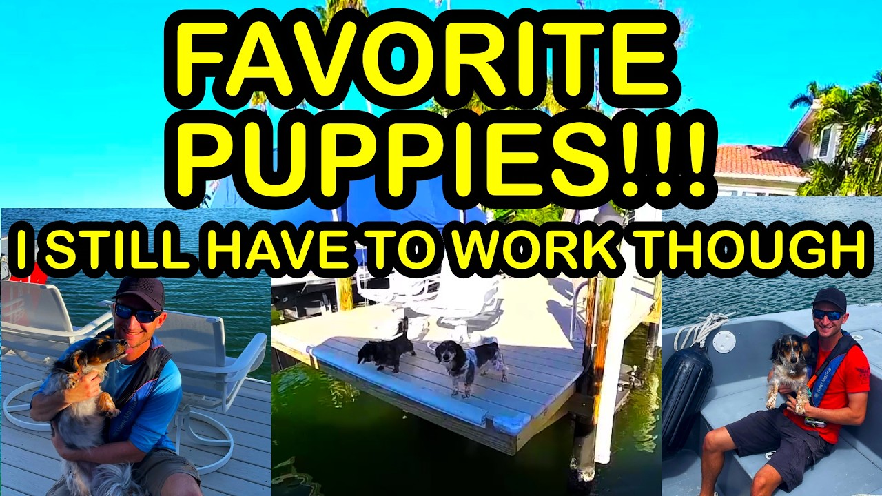 I'm Only Here for the Puppies (Boats Are Extra) | Tow 7ft Taiga + Grounding 24ft Cobalt