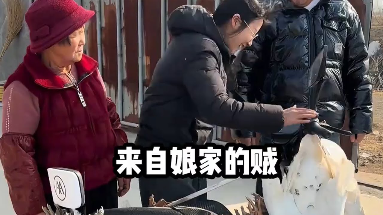 这不是回娘家，这是搬家来了#funny #搞笑 #有趣