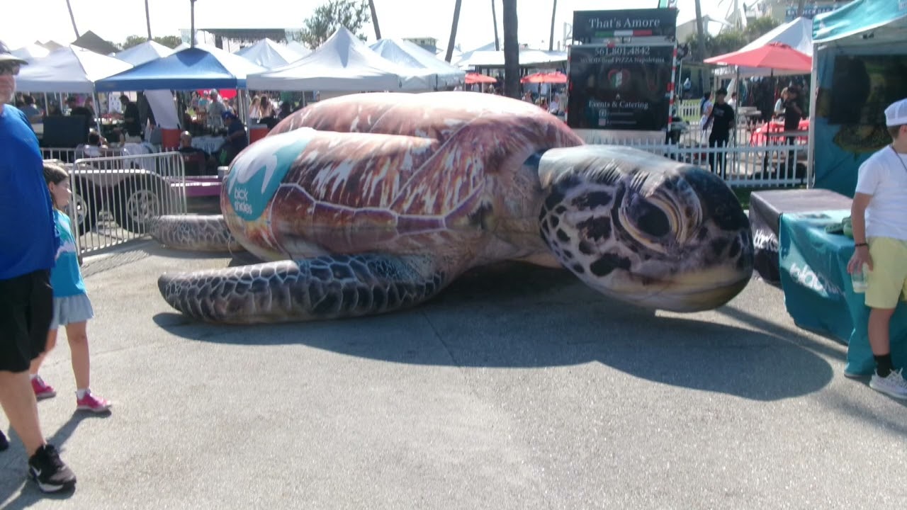 TurtleFest 2026