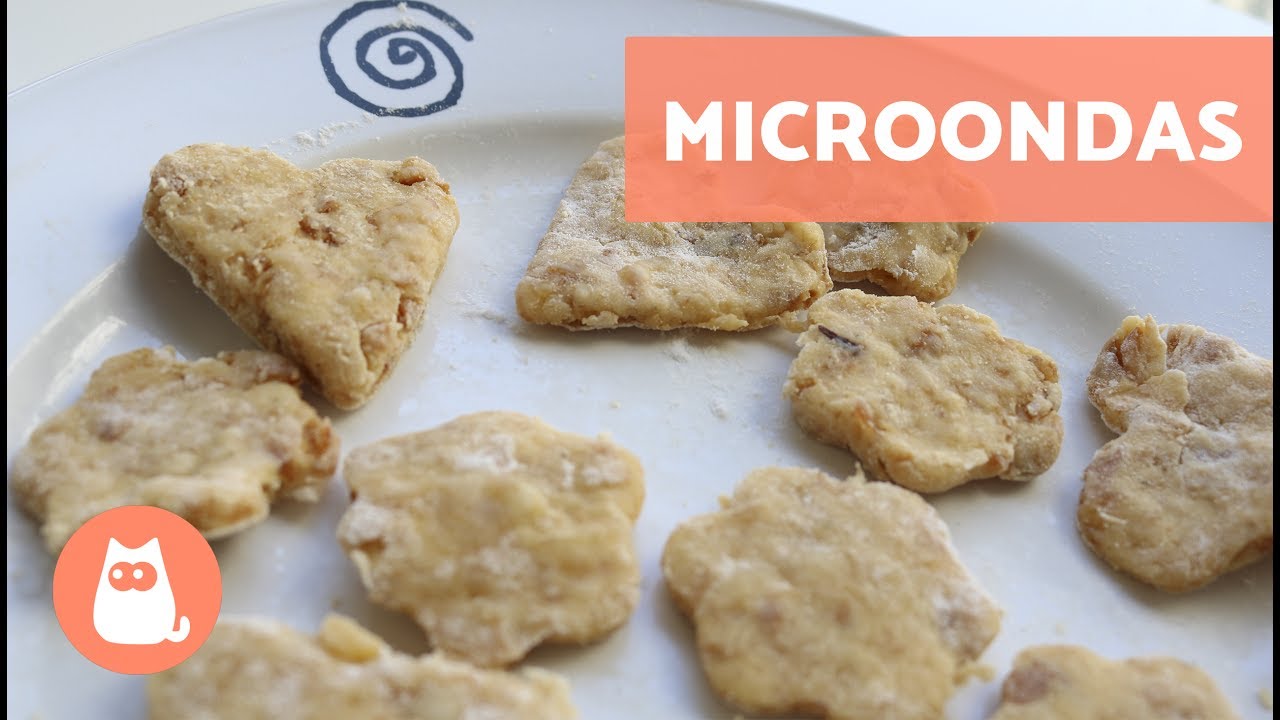 Biscoito caseiro para CACHORRO ou GATO | no Microondas