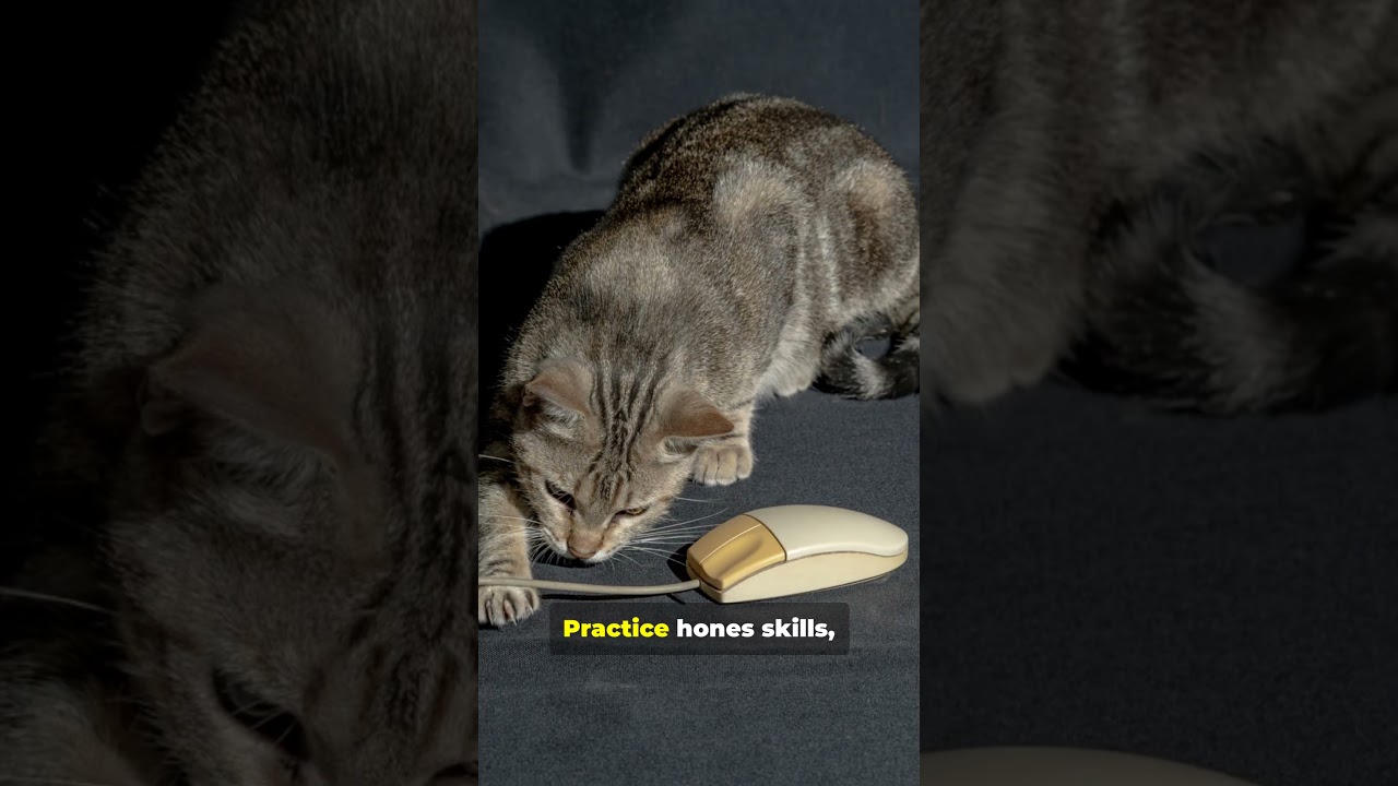 Why Your Cat Hunts Mice (Even When Fed) 