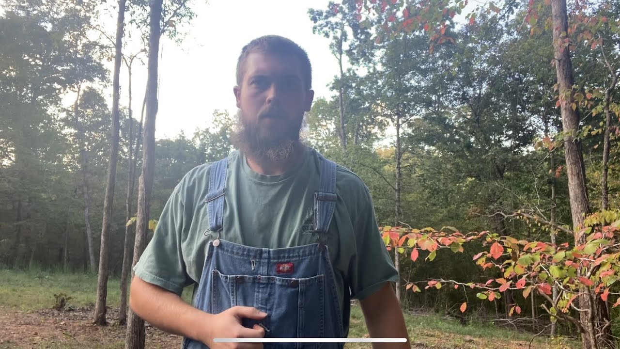 Gen Z men should start wearing overalls; 