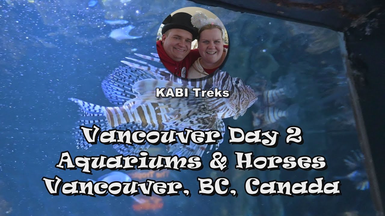Vancouver Day 2, Aquariums & Horses - Vancouver, BC, Canada