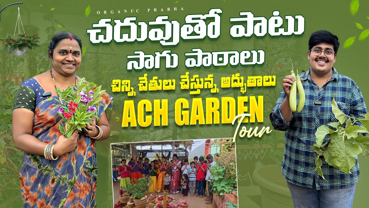 పల్లె వాతావరణం ఉట్టిపడుతున్న @ACH Gardening Vlogs  గార్డెన్‌ లో సరదాగా కాసేపు 🌿