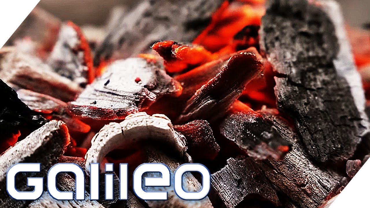 20-mal weniger CO2: Grillen mit gutem Gewissen durch Holzkohle aus der Heimat | Galileo | ProSieben