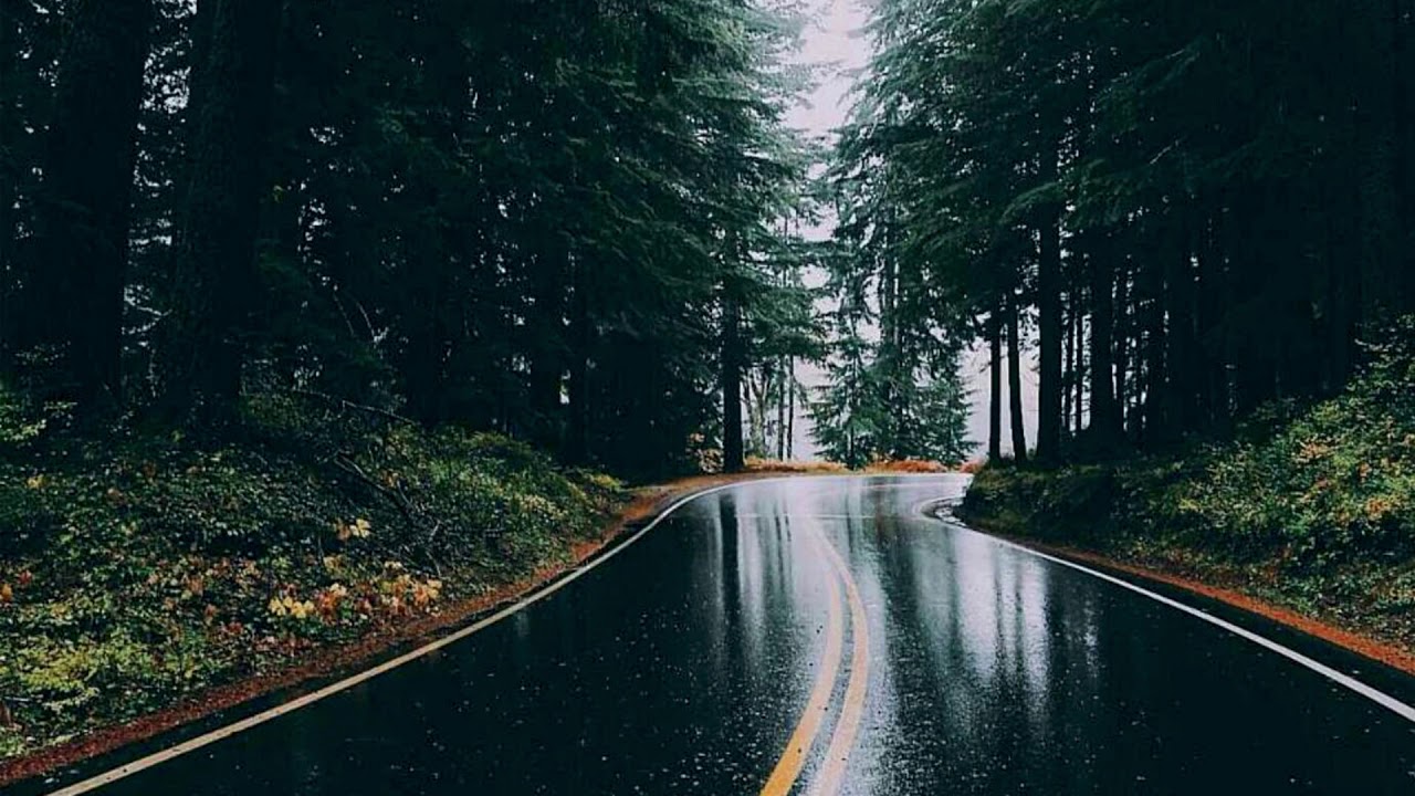 Female Vocal Sample Hip Hop Instrumental Beat - 